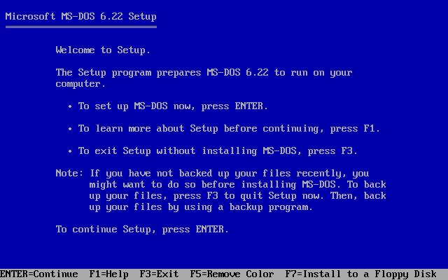 [MS-DOS Setup screen]
