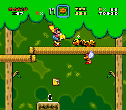 [Image of Mario on a yellow Yoshi, next to a wiggler.]